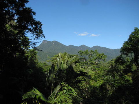 Mossman Gorge Bed And Breakfast - Australia Accommodation 0