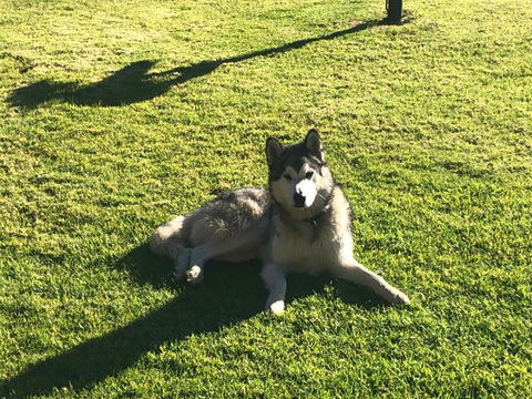 Mountain Culture Farm Stay - Pet Friendly - Australia Accommodation 3