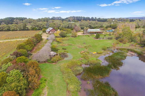 Northway Downs Estate Vineyard - Australia Accommodation 2