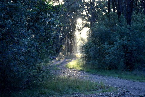 On Bell Glamping - Australia Accommodation 3