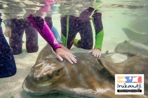 Peace In Paradise Near Nelson Bay- Waterviews, Spa, Adventures - Australia Accommodation 2