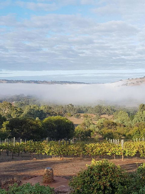 Pecan Hill BNB - Australia Accommodation 0