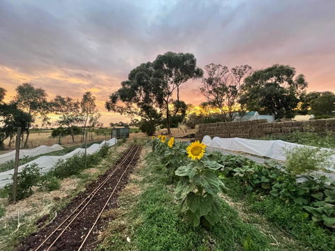 Penobscot Farm Cottage - Australia Accommodation 2