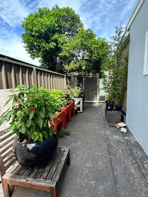 Private, Local Living Studio In Mascot, Airport - Australia Accommodation 2