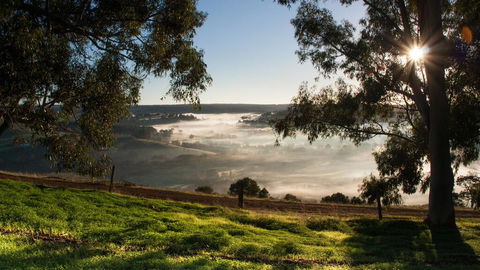 Balingup Heights Hilltop Forest Cottages - Australia Accommodation 0