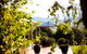 Barrington River House - thumb 2