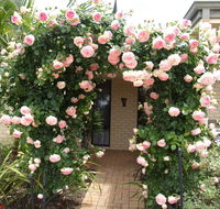 Baudins of Busselton Bed and Breakfast - Australia Accommodation