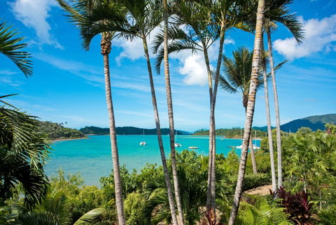Baybliss Apartments Studio 1 - Australia Accommodation 2