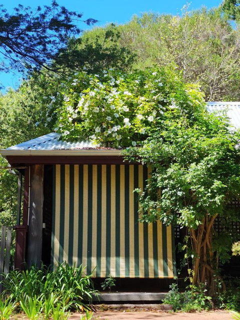 Redgum Hill Country Retreat - Australia Accommodation 3