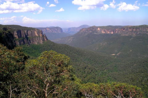 Ribbon Gum Lodge - Australia Accommodation 1