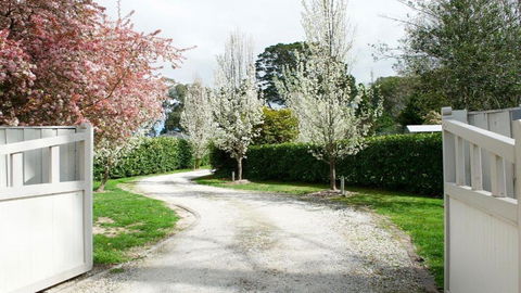 Robin Hill Manor - Australia Accommodation 2