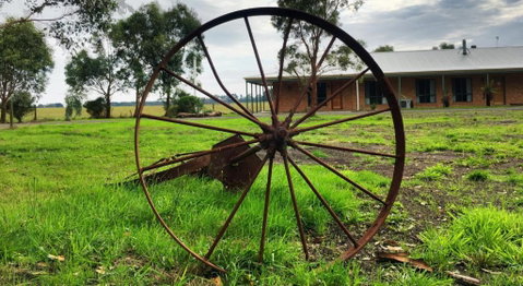 Ruby Rose - Australia Accommodation 0