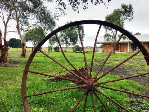 Ruby Rose - Australia Accommodation 1