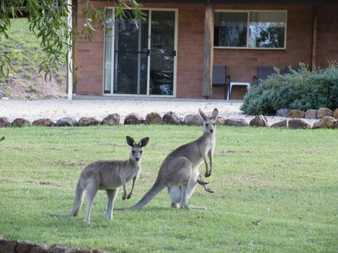 Rubyvale Motel & Holiday Units - An Adults Only Getaway - Australia Accommodation 3