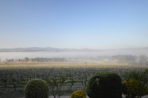 Sancerre Estate - Australia Accommodation 3