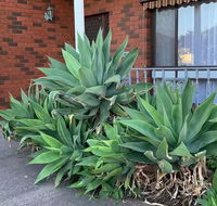 Beautiful Bedroom in Bentleigh East - Australia Accommodation