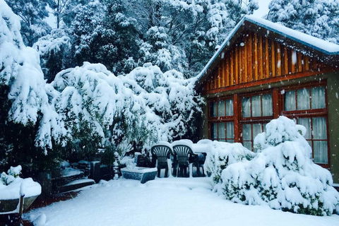 BEAUTIFUL RETREAT - 20 Mins To CBD And Only 10 Mins To MONA! - Australia Accommodation 0