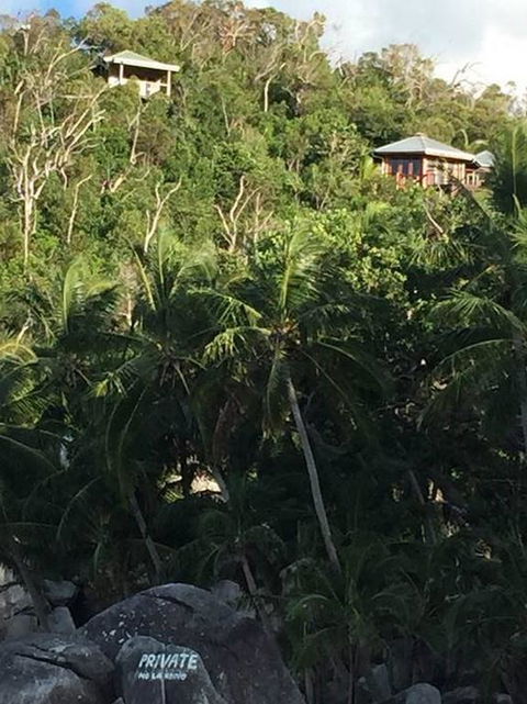 Bedarra Island Treetop Hideaway - Australia Accommodation 3