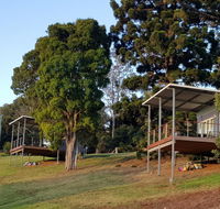 Beechmont Bean Cabins - Australia Accommodation