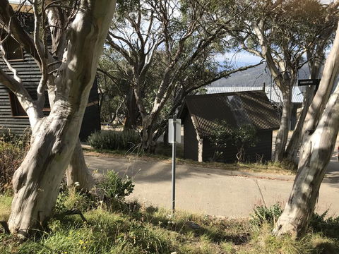 Beehive 18 - Australia Accommodation 1