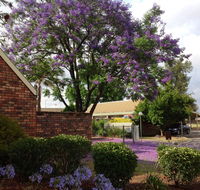 Belvoir Village Motel  Apartments Wodonga - Australia Accommodation