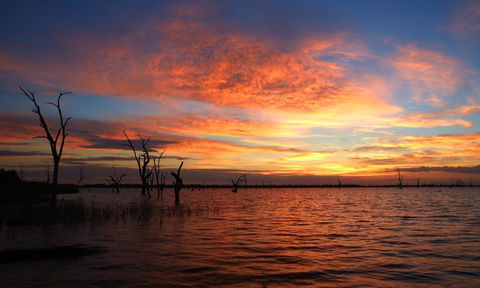 BIG4 NRMA Yarrawonga Mulwala Holiday Park - Australia Accommodation 0