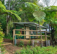 Binna Burra Rainforest Campsite - Australia Accommodation