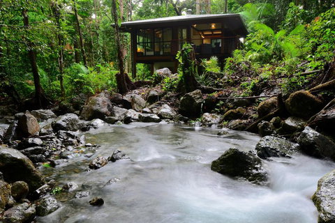 Black Palm Cape Tribulation - Australia Accommodation 2