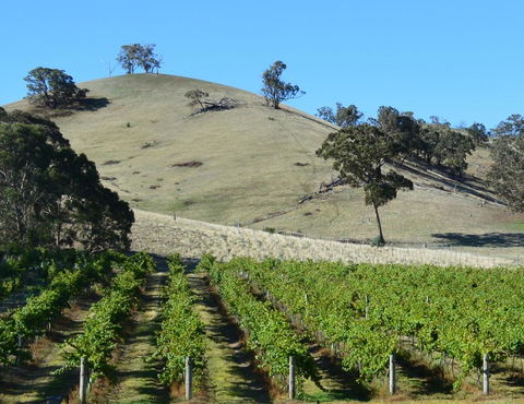 Blue House At Mountainside Wines - Australia Accommodation 3