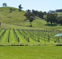 Blue House at Mountainside Wines - Australia Accommodation