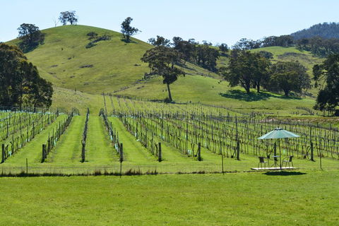 Blue House At Mountainside Wines - Australia Accommodation 0