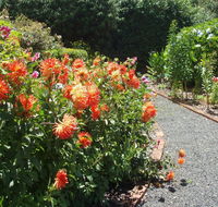 Boat Harbour Garden Cottages - Australia Accommodation