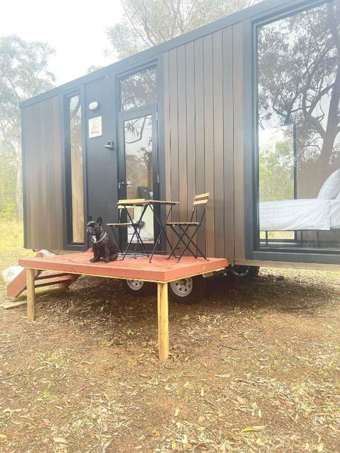 Whispering Wallaby By Tiny Away - Australia Accommodation 1