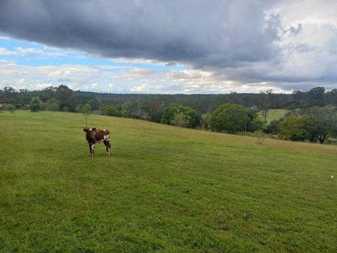 Maison De Lavande Farmstay - Australia Accommodation 1