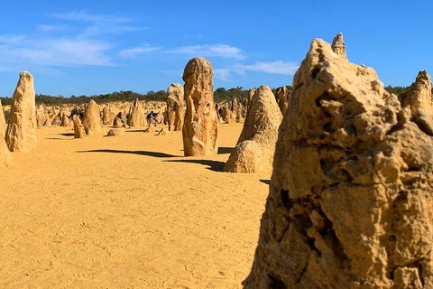 Pinnacles Desert (Private) Day Tour - Australia Accommodation 0