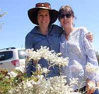 Spring Wildflower Private Day Tours - Australia Accommodation