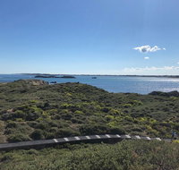 Penguin Island And Fremantle - Canoe Chocolate  Coffee - Australia Accommodation