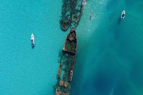 Cruise In Moreton Bay Marine Park And Moreton Island - Australia Accommodation 1