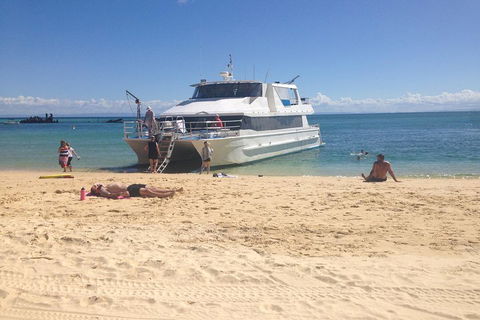 Cruise In Moreton Bay Marine Park And Moreton Island - Australia Accommodation 4