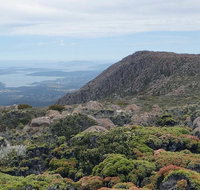 kunanyi/Mt Wellington Explorer Bus - One Way Tour - Australia Accommodation