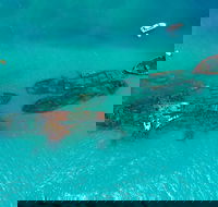 Private Tangalooma Wrecks Tour - Australia Accommodation