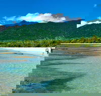 5-Day Best of Cairns with Daintree Kuranda and Great Barrier Reef - Australia Accommodation