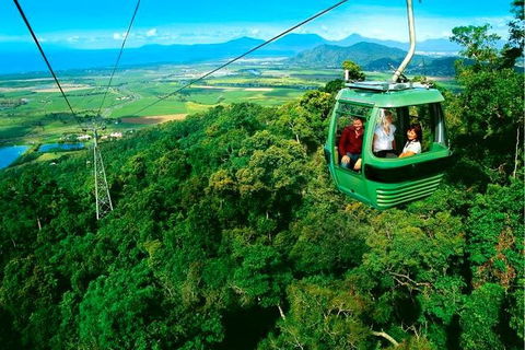 4-Day Cairns Ultimate Combo: Daintree Rainforest, Reef, Kuranda & Paronella Park - Australia Accommodation 1