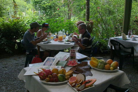 4-Day Cairns Ultimate Combo: Daintree Rainforest, Reef, Kuranda & Paronella Park - Australia Accommodation 4