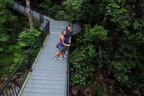 Cape Tribulation, Mossman Gorge, And Daintree Rainforest Premium Day Tour - Australia Accommodation 3