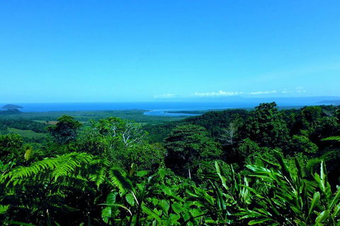 Cape Tribulation, Mossman Gorge, And Daintree Rainforest Premium Day Tour - Australia Accommodation 5