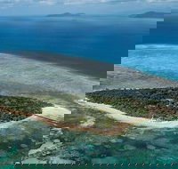 4-Day Cairns with Great Barrier Reef and Daintree Rainforest - Australia Accommodation