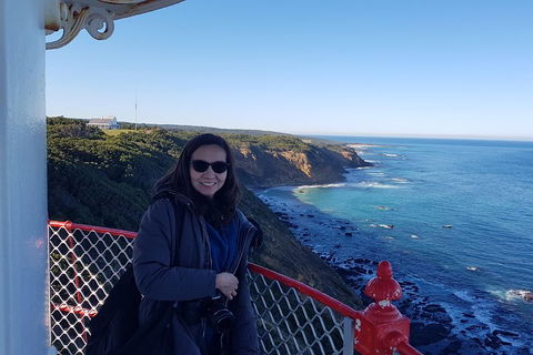 Great Ocean Road Full Day Private Experience - Australia Accommodation 1