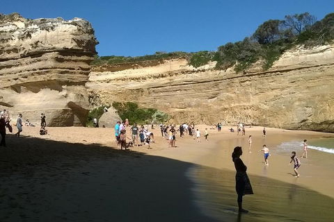 Great Ocean Road Full Day Private Experience - Australia Accommodation 3