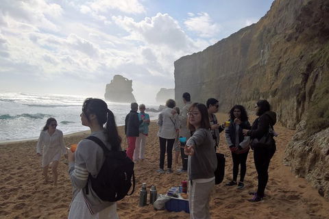 Great Ocean Road Full Day Private Experience - Australia Accommodation 4